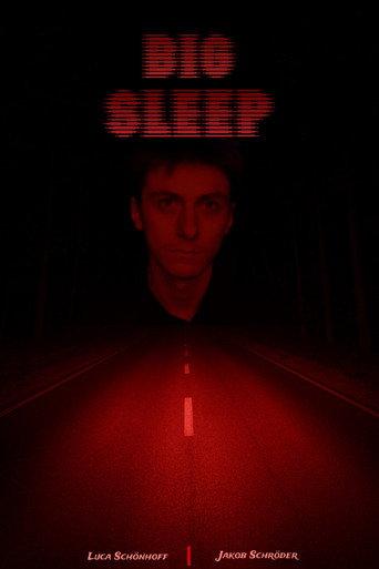 BIG SLEEP (2025) poster