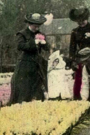 Flower Fields of Haarlem (1909) poster