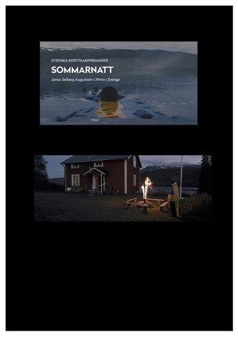 Midsummer Night (2016) poster