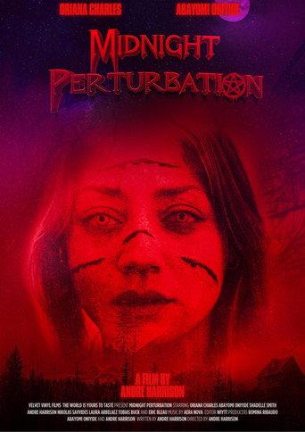 Midnight Perturbation (2025) poster