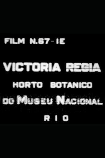 Victória Régia: Horto Botânico do Museu Nacional (1937) poster