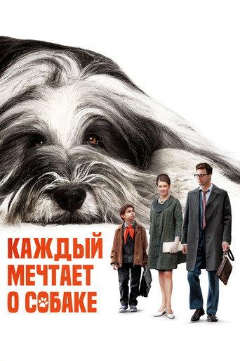 Everyone Dreams of a Dog (2024) poster