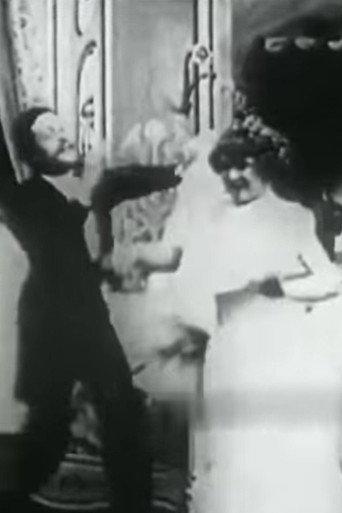The Bride's First Night (1904) poster