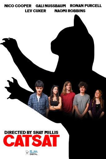 Catsat () poster