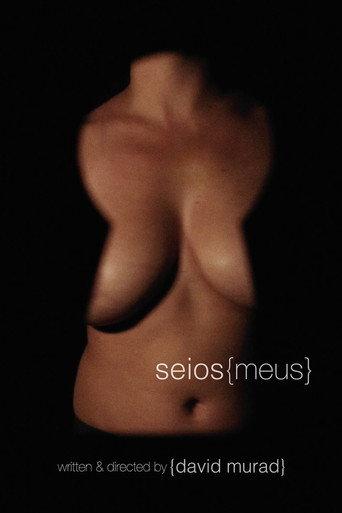 Seios Meus (2015) poster