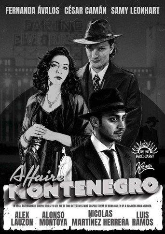 The Montenegro Affair (2026) poster