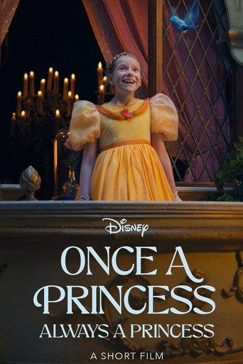 Once a Princess, Always a Princess (2026) poster