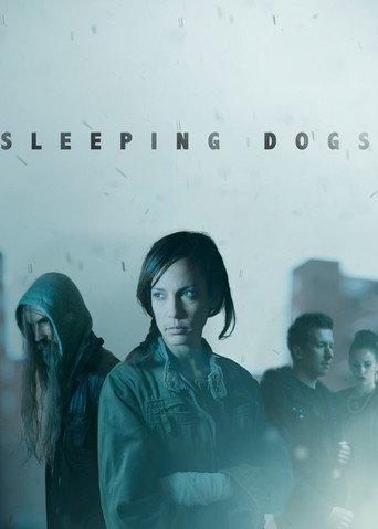 Sleeping Dogs (2013) poster