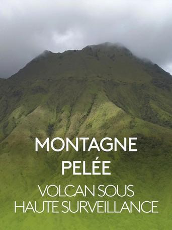 Montagne Pelée, volcan sous haute surveillance (2019) poster