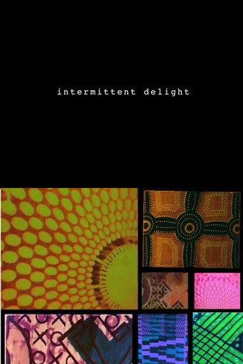 Intermittent Delight (2007) poster