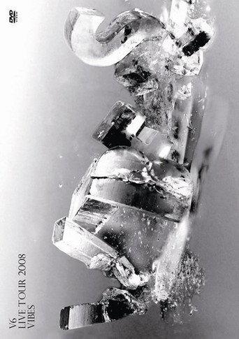 V6 LIVE TOUR 2008 VIBES (2009) poster