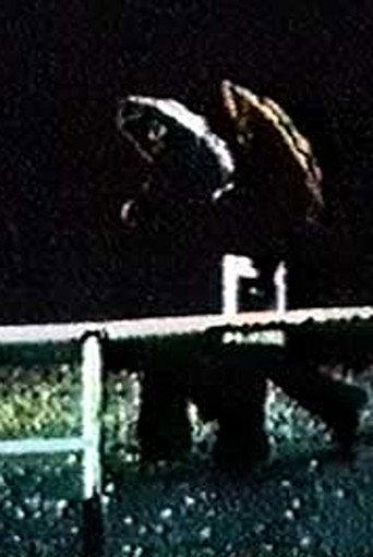 Just Waiting (1975) poster