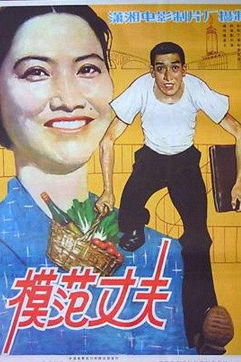 模范丈夫 (1981) poster