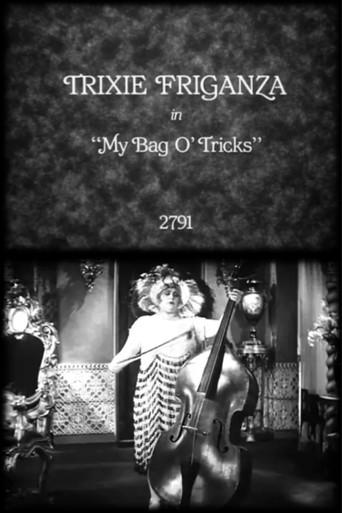 My Bag o' Tricks (1929) poster