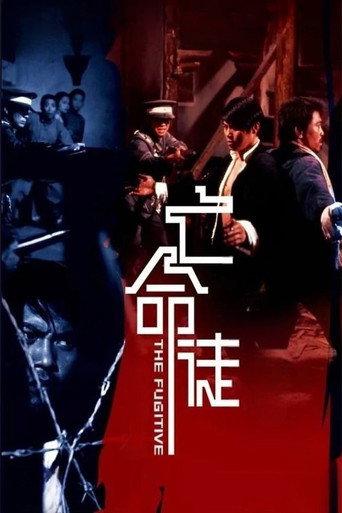 The Fugitive (1972) poster
