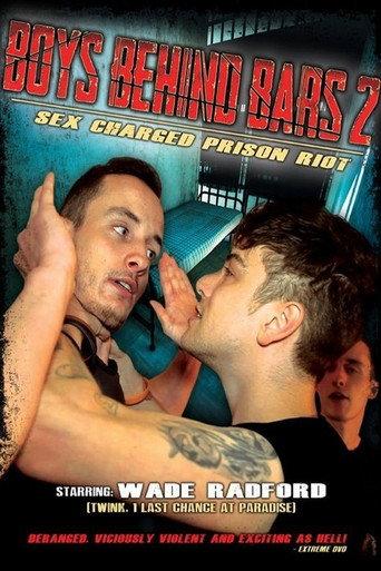 Boys Behind Bars 2 (2014) poster