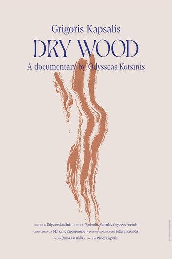 Dry Wood (2026) poster