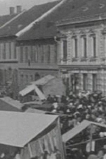 The Ljutomer Fair (1905) poster