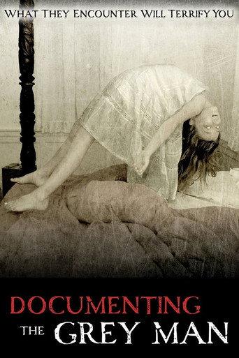 Documenting the Grey Man (2011) poster