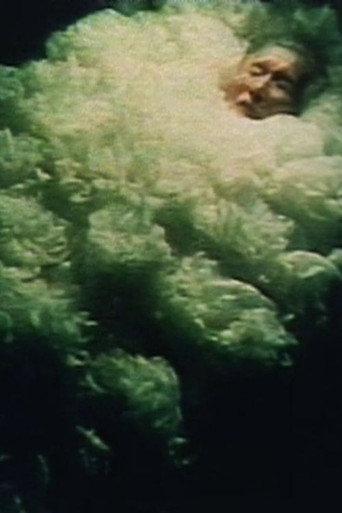 The Sleeping Flower (1991) poster