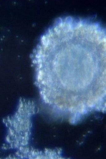 Fertilization in Video (1991) poster