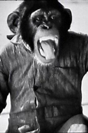 Chimp The Aviator (1945) poster