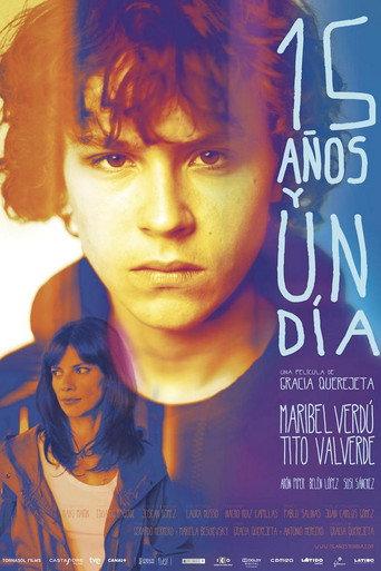 15 Years and One Day (2013) poster