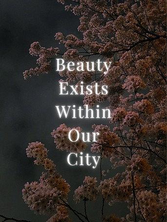 Beauty Exists Within Our City (2024) poster