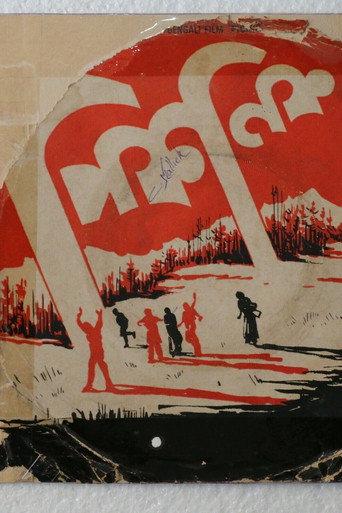 Picnic (1972) poster