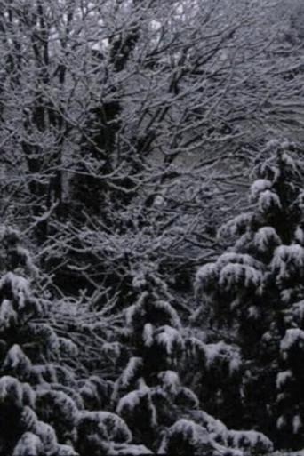 Snow Film (2019) poster