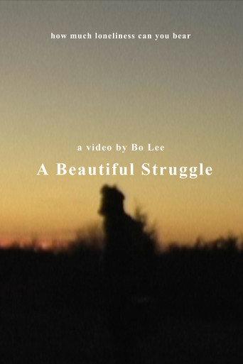 A Beautiful Struggle () poster