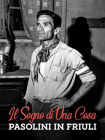 Il sogno di una cosa - Pasolini in Friuli (1976) poster