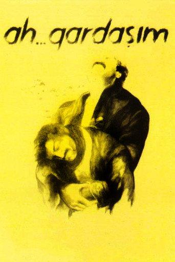 Ah... Gardaşım (1991) poster