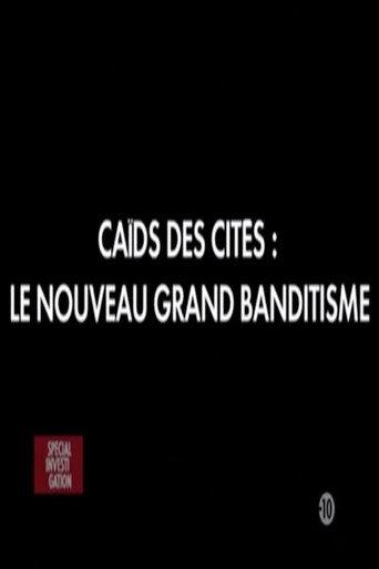 Caïds des cités: Le nouveau grand banditisme (2010) poster