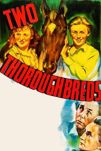 Two Thoroughbreds (1939) poster