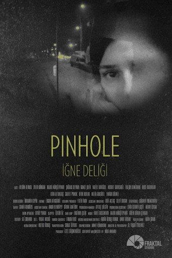 Pinhole (2015) poster