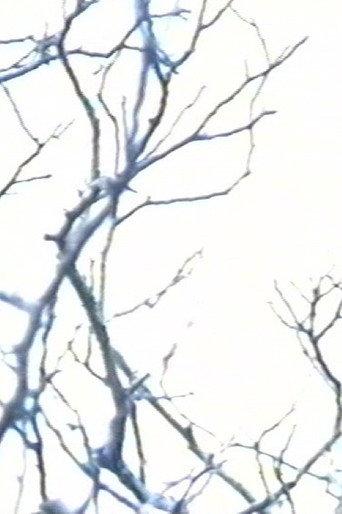 Stereo #0 - 30 drones for television - Drone 15 (2000) poster