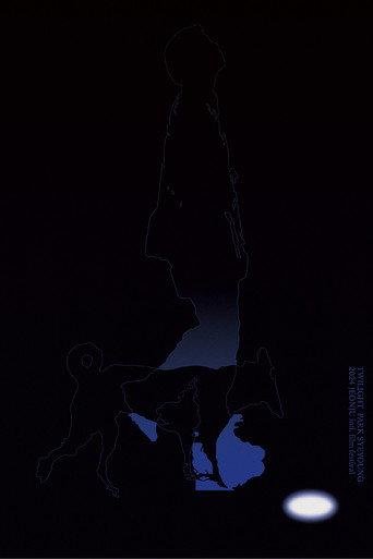 Twilight (2024) poster