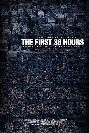 The First 36 hours: An Inside Look at Hurricane Sandy (2011) poster