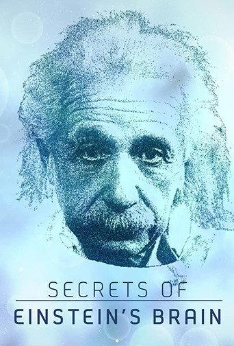 Secrets of Einstein's Brain (2015) poster