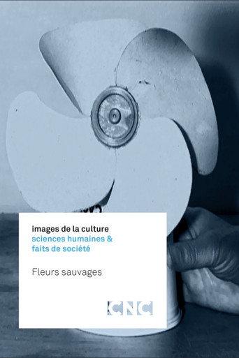 Fleurs sauvages (2016) poster