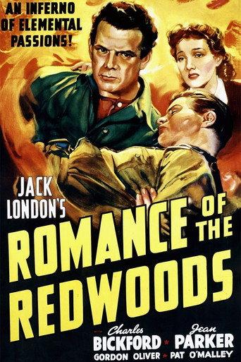 Romance of the Redwoods (1939) poster