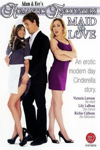 Romantic Encounters: Maid For Love (2016) poster