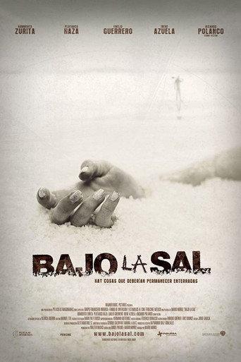 Under the Salt (2008) poster