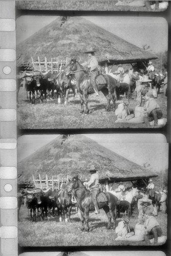 Les Apaches du Far-West (1907) poster