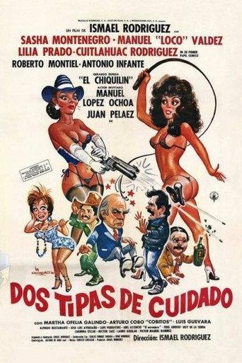 Two Kinds of Schemes (1989) poster