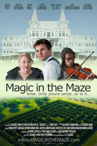 Magic in the Maze () poster