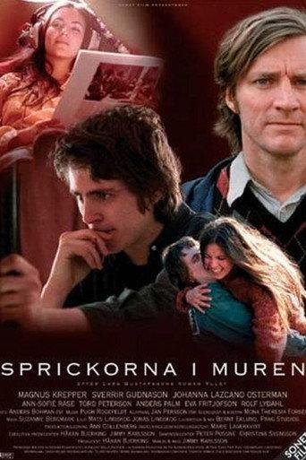 A Breach in the Wall (2003) poster