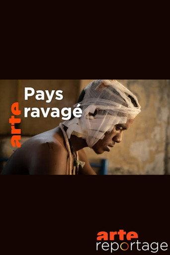 Soudan guerre du Tigre sur l autre rive (2021) poster