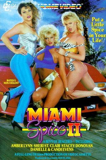 Miami Spice II (1988) poster